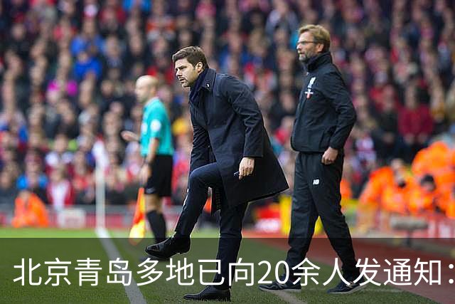 北京青岛多地已向20余人发通知:申报纳税
