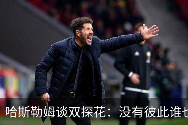 哈斯勒姆谈双探花：没有彼此谁也达不到现在的高度